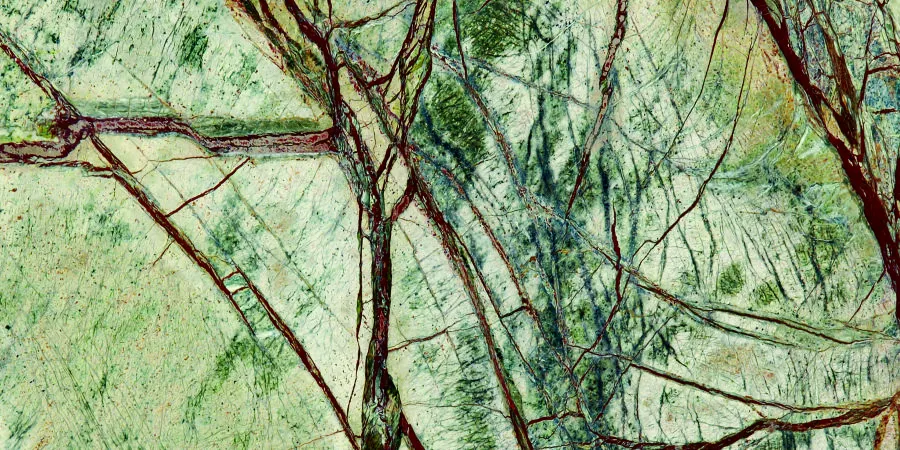 Rainforest Green